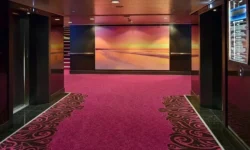 4 Things That Make a Carpet Worth Your Money