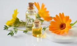 Things You May Not Know About Essential Oils
